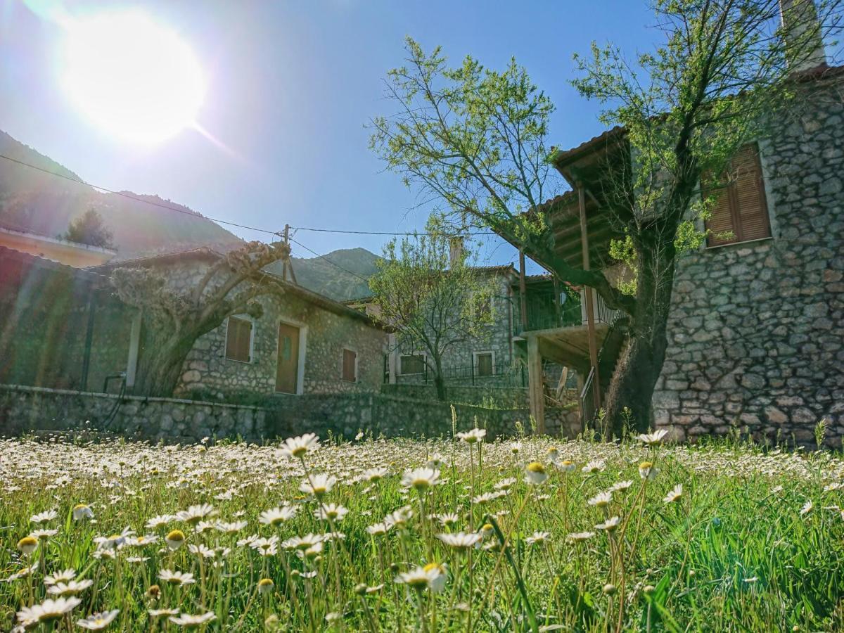 1935 Home Lilaia Bagian luar foto